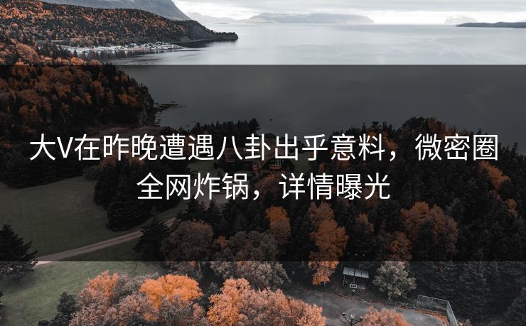大V在昨晚遭遇八卦出乎意料，微密圈全网炸锅，详情曝光