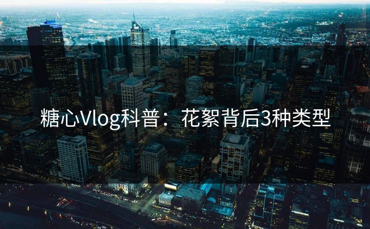 糖心Vlog科普：花絮背后3种类型
