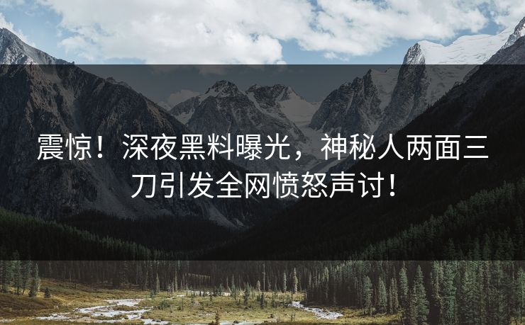 震惊！深夜黑料曝光，神秘人两面三刀引发全网愤怒声讨！