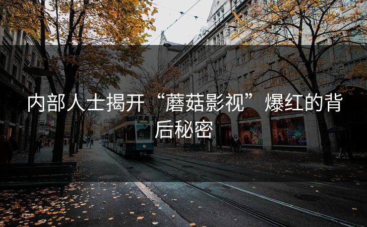 内部人士揭开“蘑菇影视”爆红的背后秘密