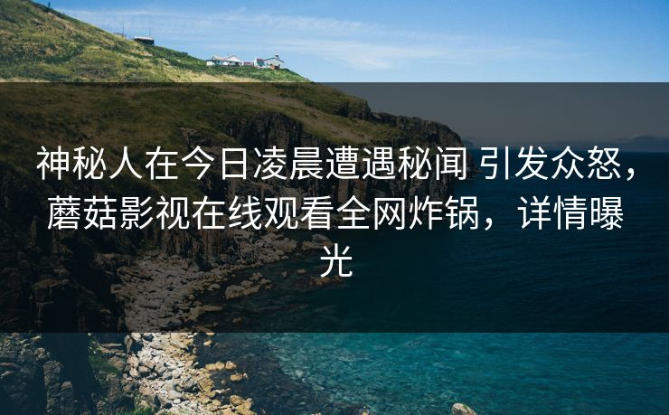 神秘人在今日凌晨遭遇秘闻 引发众怒，蘑菇影视在线观看全网炸锅，详情曝光